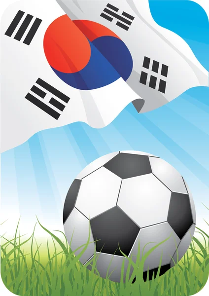 サッカー選手権 - 韓国共和国 — ストックベクタ