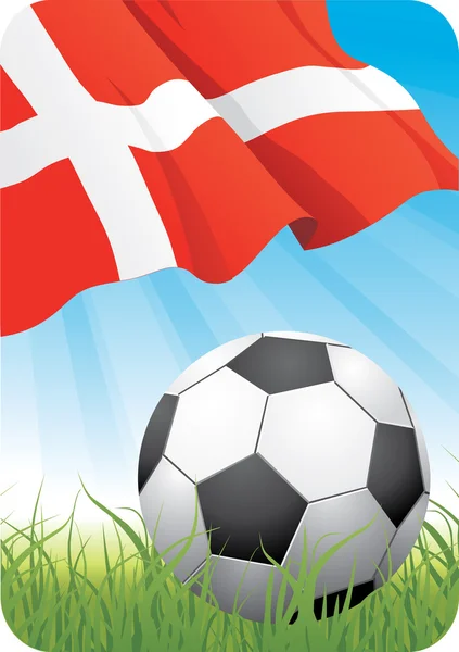 Campeonato del mundo de fútbol - Dinamarca — Archivo Imágenes Vectoriales