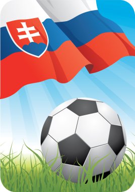 Dünya Futbol Şampiyonası 2010 - Slovakya