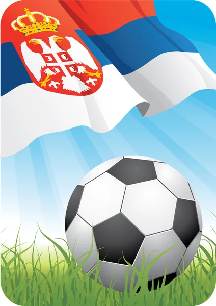 Чемпионат мира по футболу 2010 - Сербия — стоковый вектор