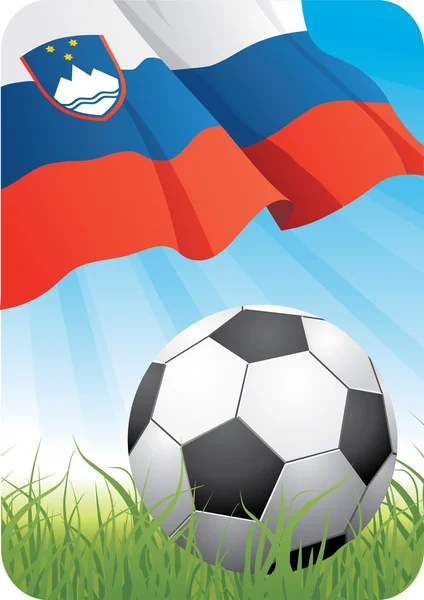 Campeonato del mundo de fútbol 2010 - Eslovenia — Archivo Imágenes Vectoriales