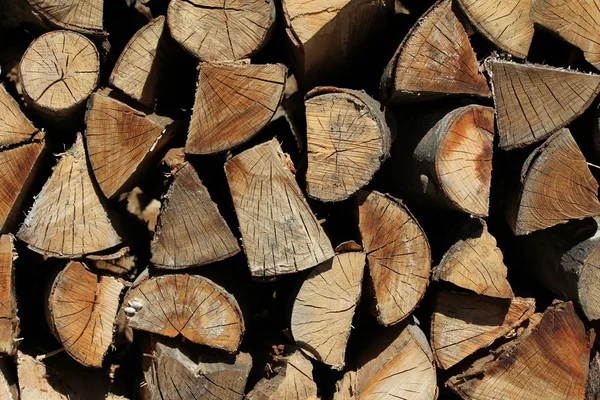 stock image Wood