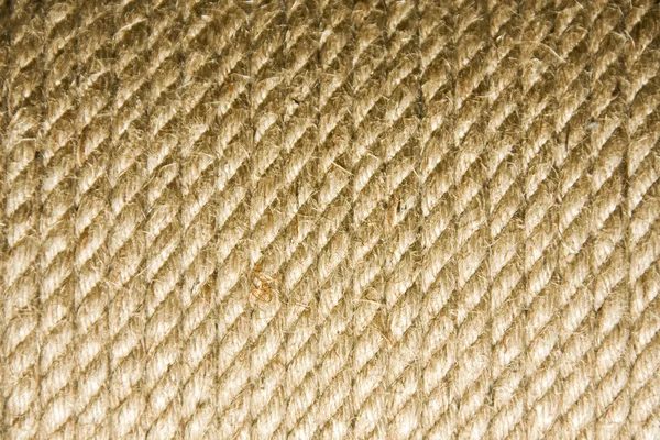 Мотузка текстури — стокове фото
