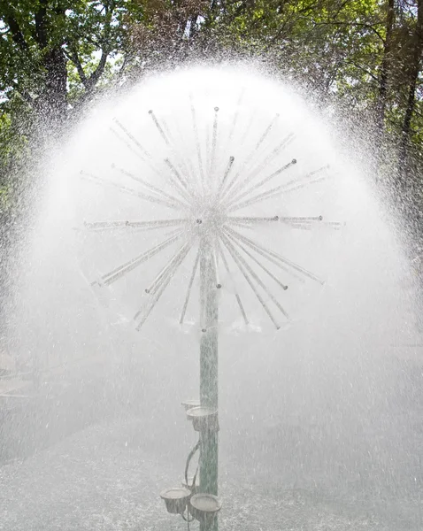 Dandelion fountain — Stock Photo, Image