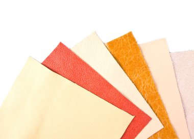 Leather samples clipart