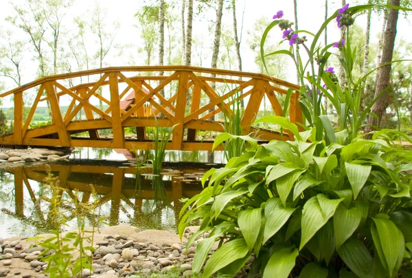 Пресноводное болото с мостом — стоковое фото
