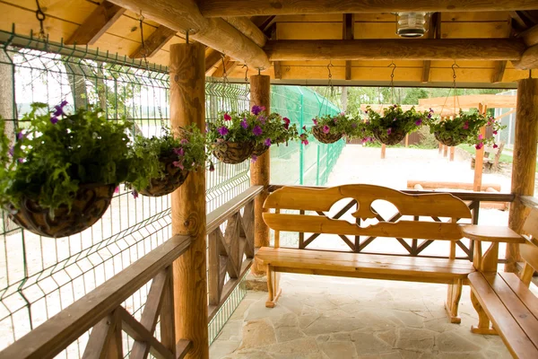 Groene planten in bloempotten op veranda — Stockfoto
