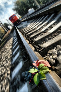 Acele tren