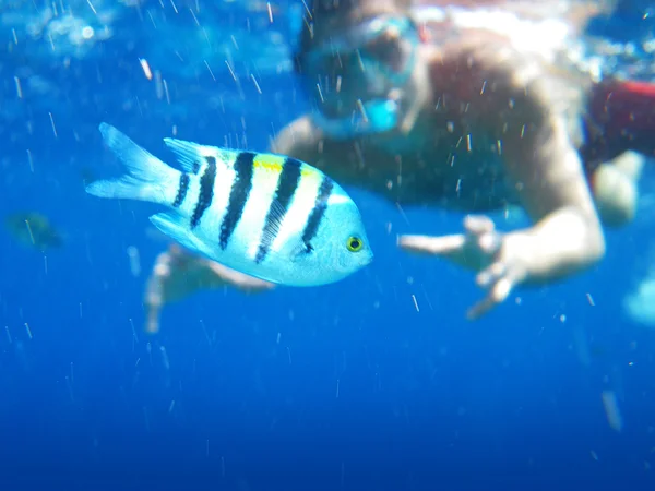 Fisherman underwater — Stock Photo, Image