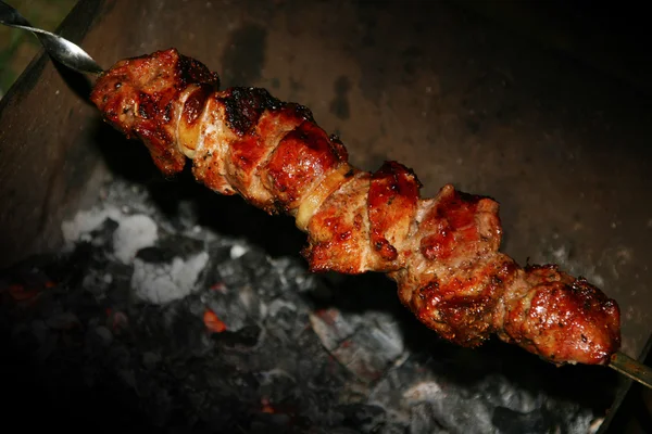Juicy shish kebab — Stock Photo, Image