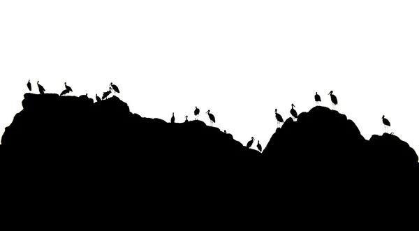Les cigognes dans les montagnes — Photo