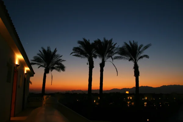 Egypt sunset — Stock Photo, Image