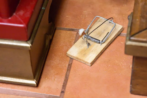 stock image Mousetrap