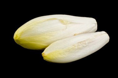 Endives clipart