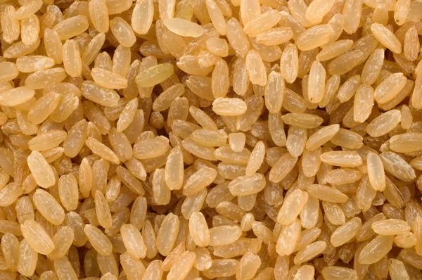 stock image Wholegrain rice