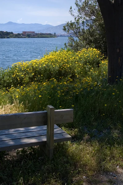 stock image Bench on lake