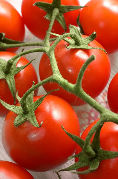 stock image Cherry tomatoes