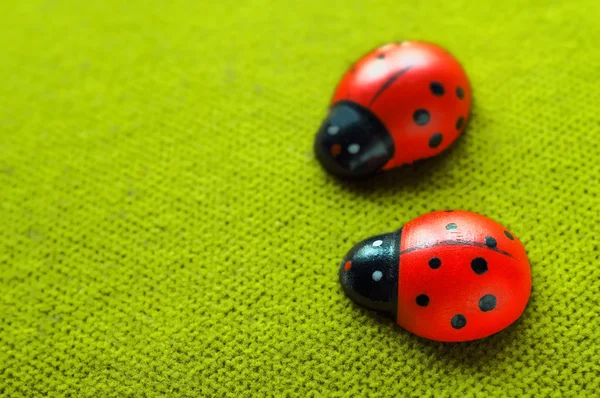 stock image Ladybugs