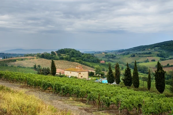 stock image Tuscan hills