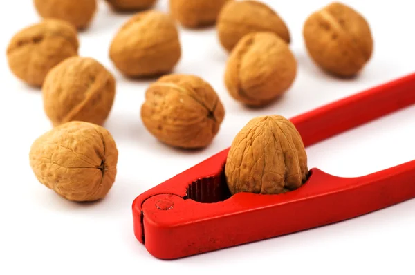 Louskáček s ořechy — Stock fotografie