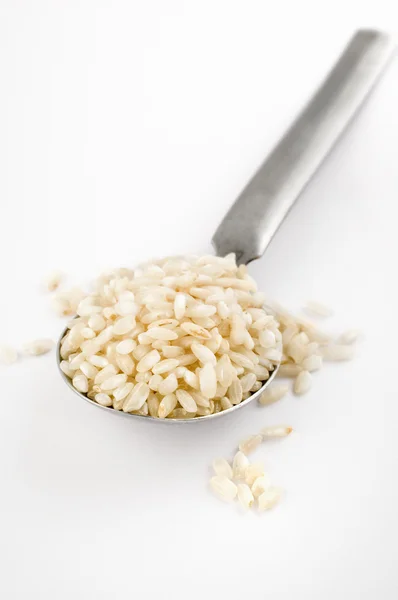 stock image Spoon full fo rice