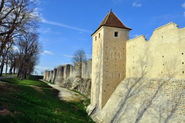 Wall of a fortress clipart