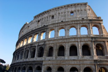 Colosseum in Rome, Italy clipart