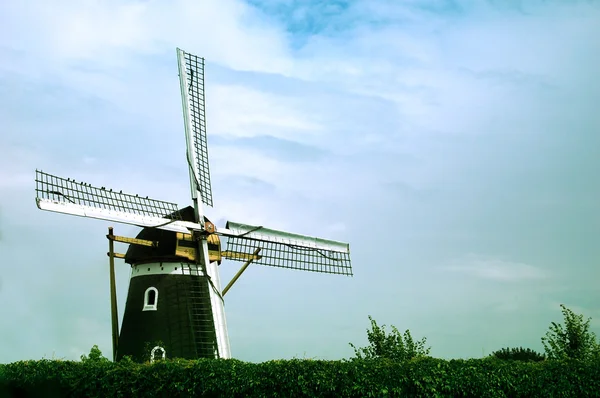 Вітряний млин в Нідерландах — стокове фото