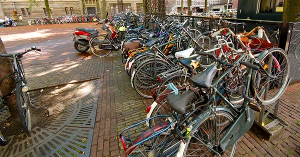 Fahrräder in amsterdam — Stockfoto