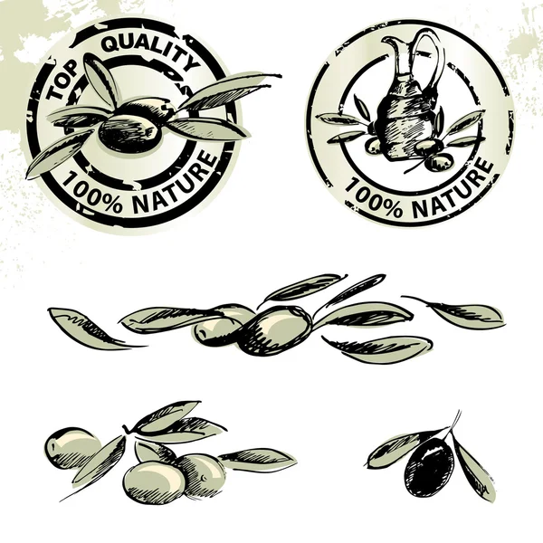 橄榄及橄榄油标签 — 图库矢量图片