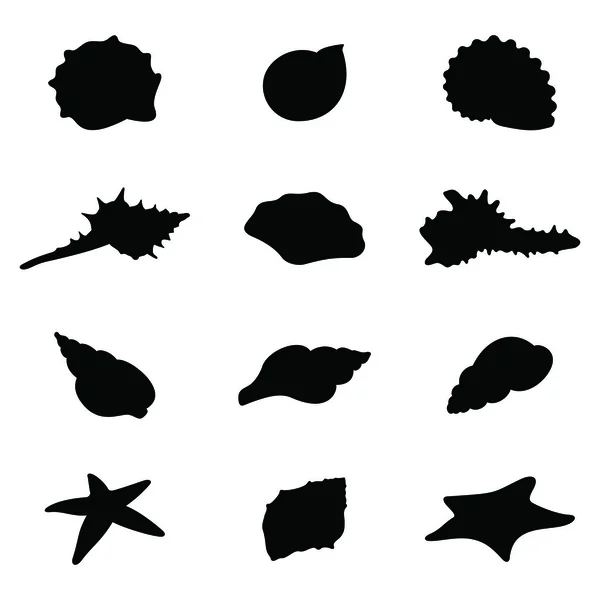 Shells and starfishes silhouettes — Stock Vector