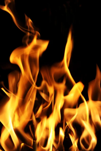 Flames Stock Image