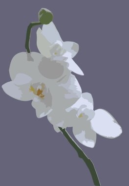 Orchid on a striped background1. clipart