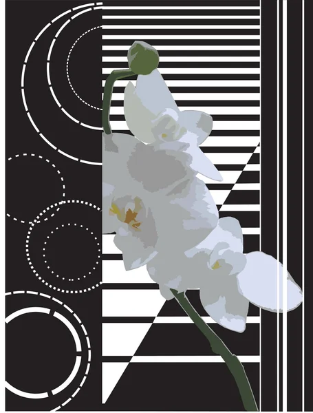 Орхидея на полосатом фоне . — стоковый вектор