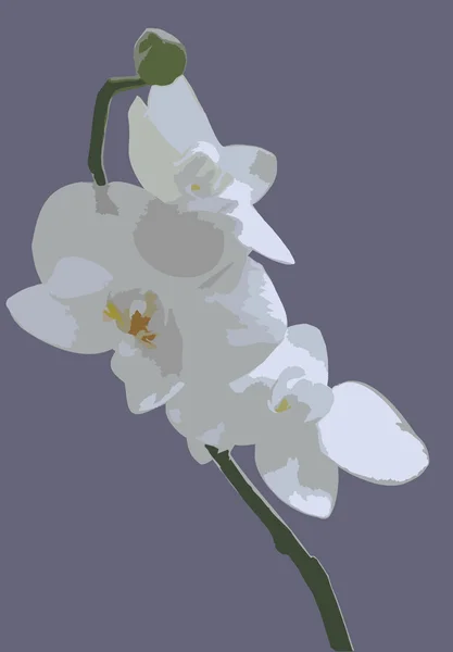 Орхидея на полосатом фоне 1 . — стоковый вектор
