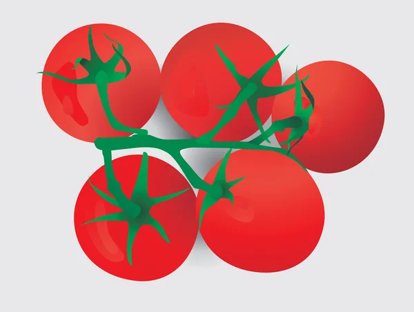Beş kırmızı domates dal — Stok Vektör