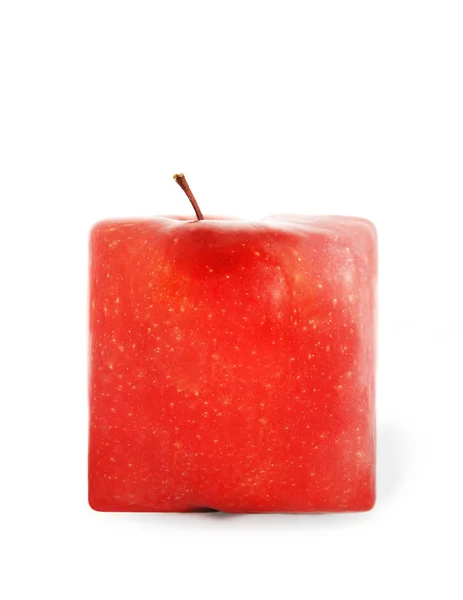 Pomme mûre rouge — Photo