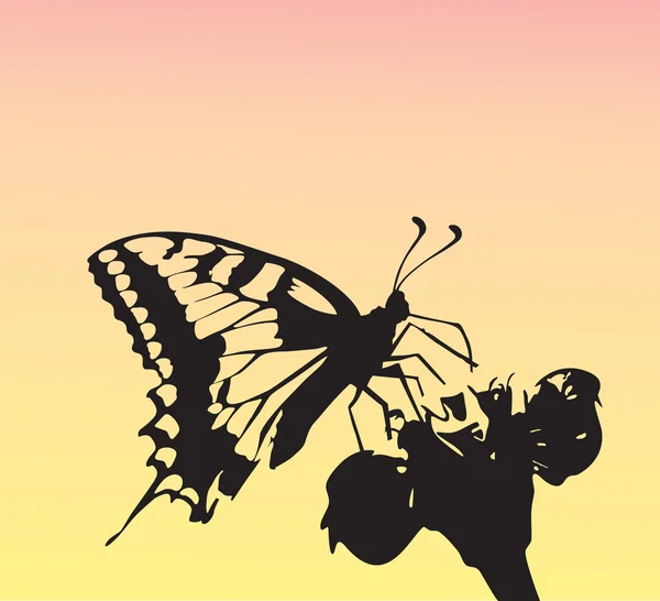 A pulga de borboleta a uma flor — Vetor de Stock