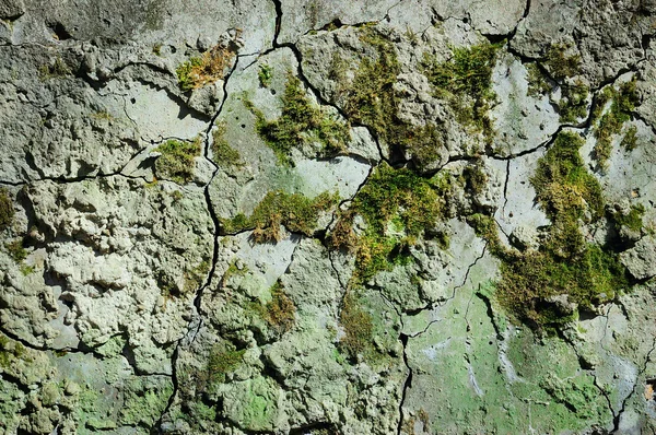 Old cement wall — Stock Photo, Image