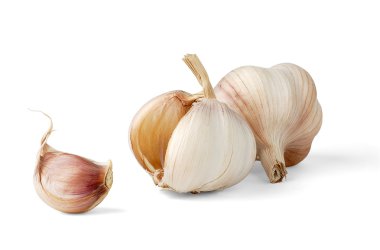 Garlic clipart