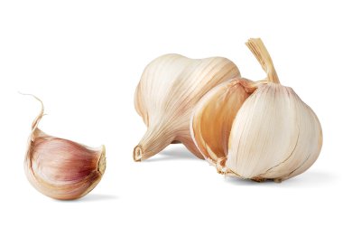 Garlic clipart