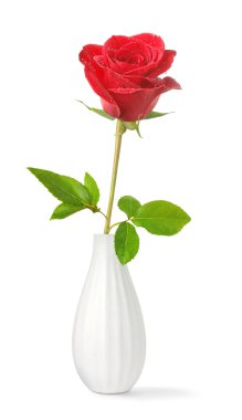 Single rose in a vase clipart