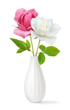 Two roses in a vase clipart