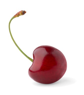 Sweet cherry clipart