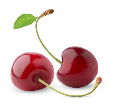 Sweet cherry clipart