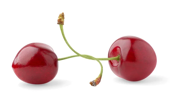 Duas cerejas doces — Fotografia de Stock