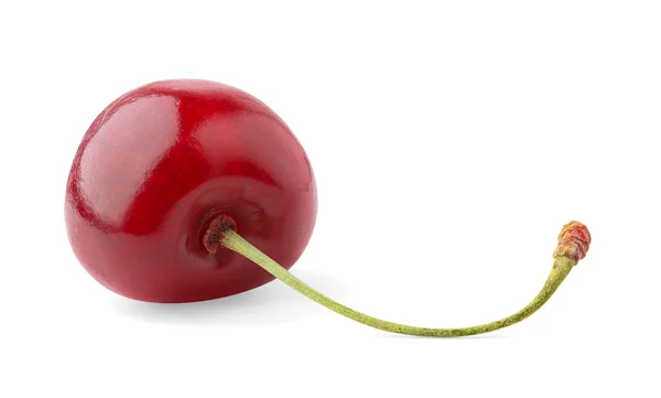 Dolce ciliegia — Foto Stock
