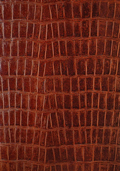Genuine crocodile leather — Stock Photo, Image