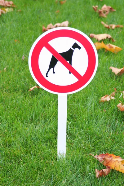 Sign prohibition for walk dogs — Stock Photo, Image