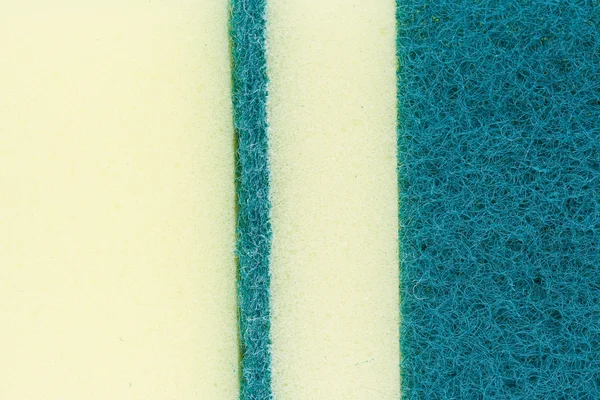 Surface of the sponge — Stock Photo, Image